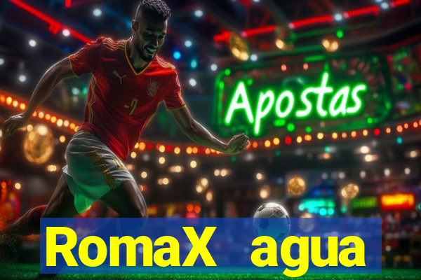 RomaX agua sanitaria fispq agua sanitaria romax